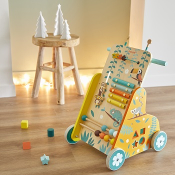chariot_tropik_janod_n2